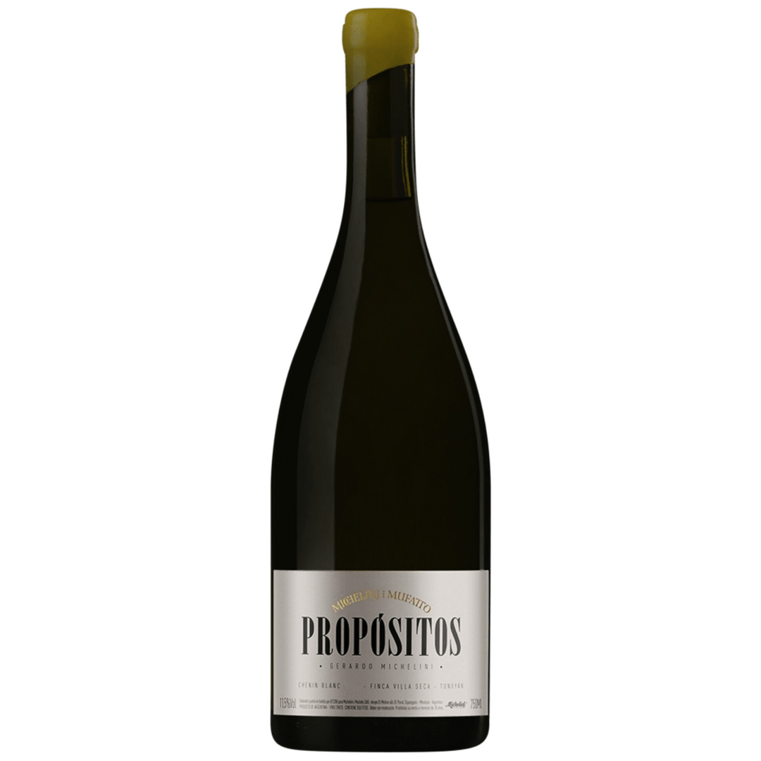 Michelini i Mufatto 'Propositos' Chenin Blanc, Tunuyan, Argentina 2019