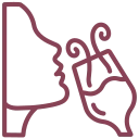 Mr.D Wine Expert Curation