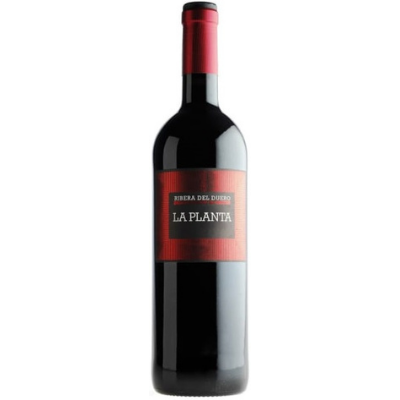 Bodegas Arzuaga Navarro 'La Planta', 2023 Ribera del Duero, Spain