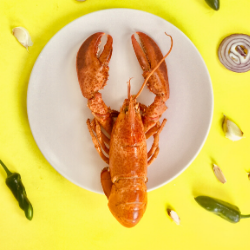 Wines for Shellfish, Crab & Lobster | Perfect Pairings