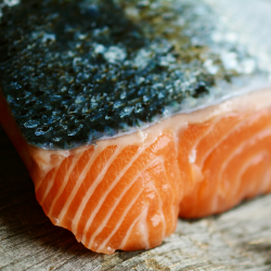 Wine Pairings for Meaty & Oily Fish