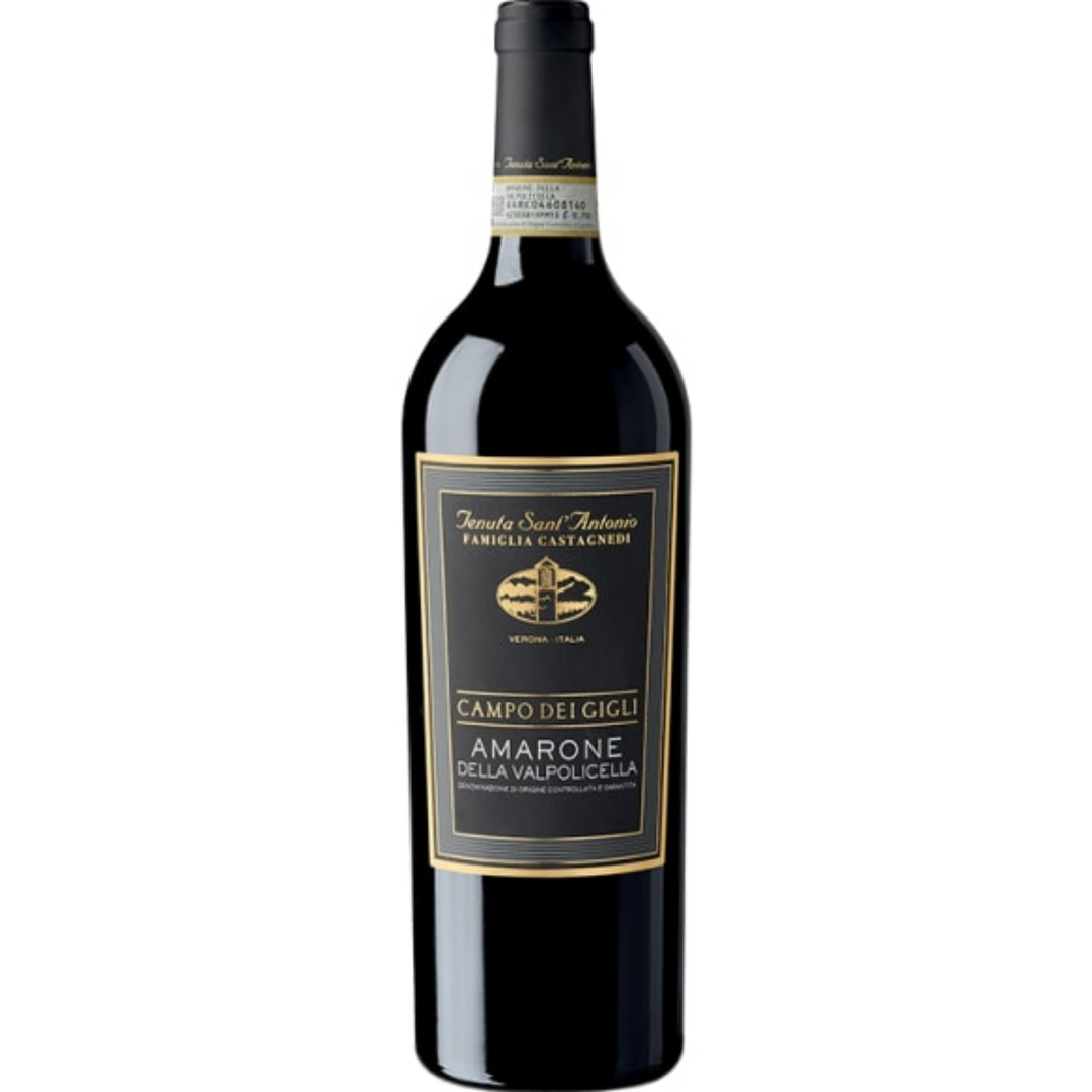 2018 | Sant'Antonio Campo dei Gigli | Amarone Valpolicella