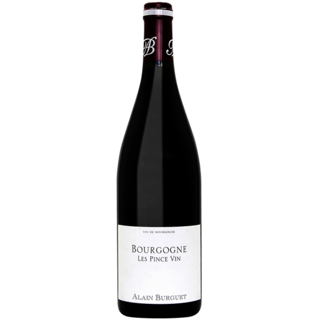 2019 | Jean Luc Eric Burguet Bourgogne Les Pince Vin | Burgundy