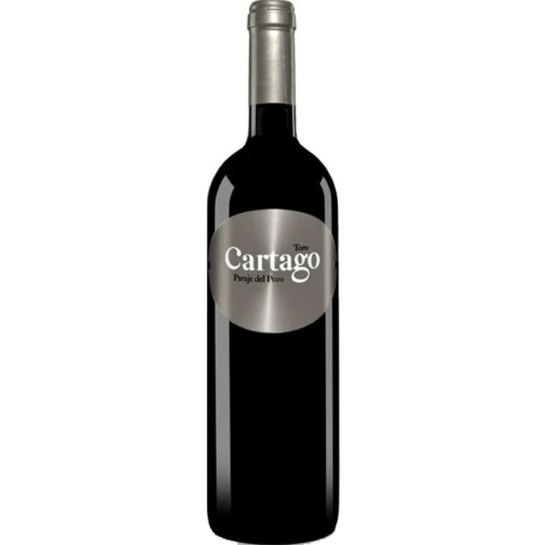 2019 | Bodegas San Roman 'Cartago' Paraje del Pozo | Toro