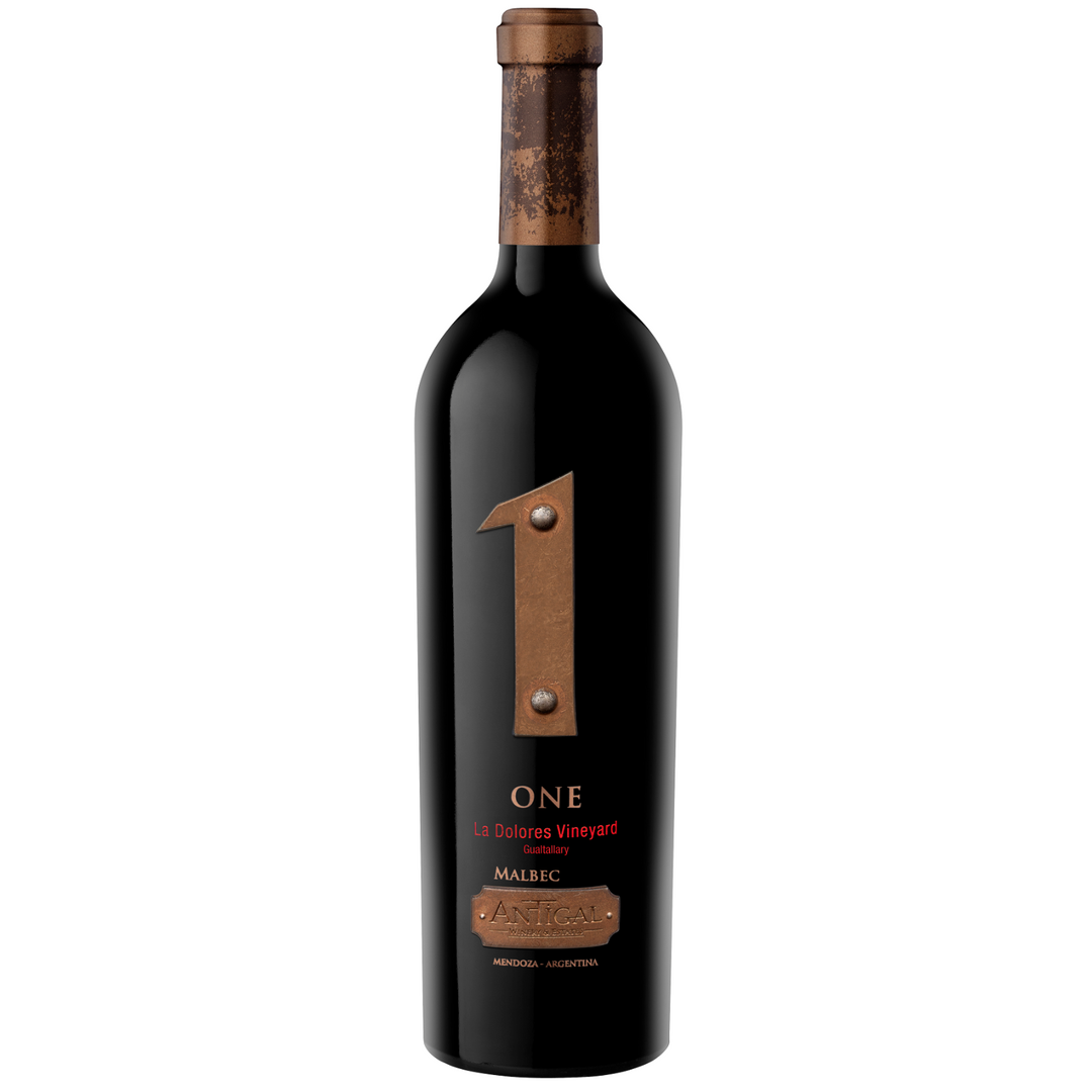 Antigal 1 One La Dolores Vineyard Malbec Gualtallary 2020