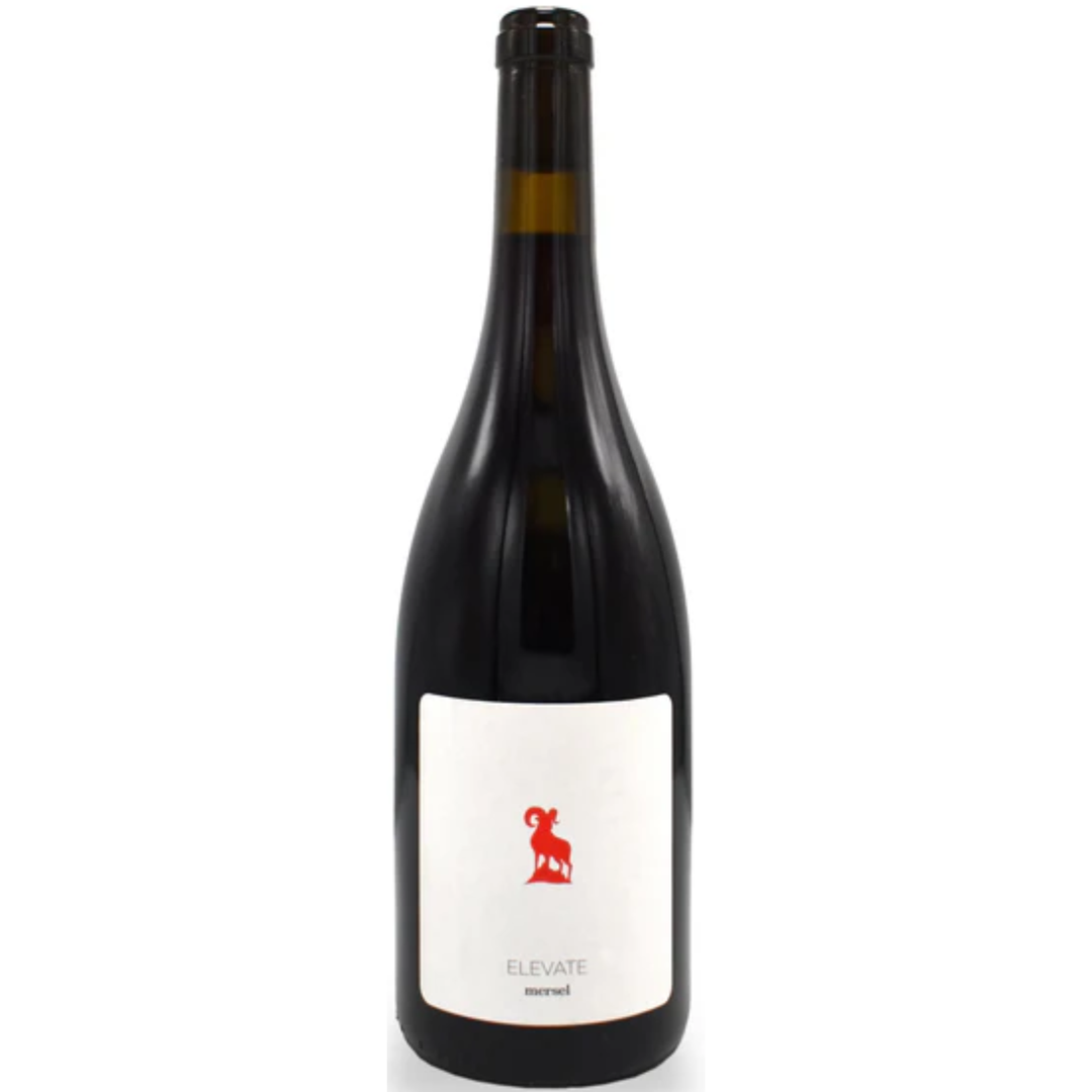 2021 | Mersel 'Elevate' Pinot Noir | Bekaa Valley