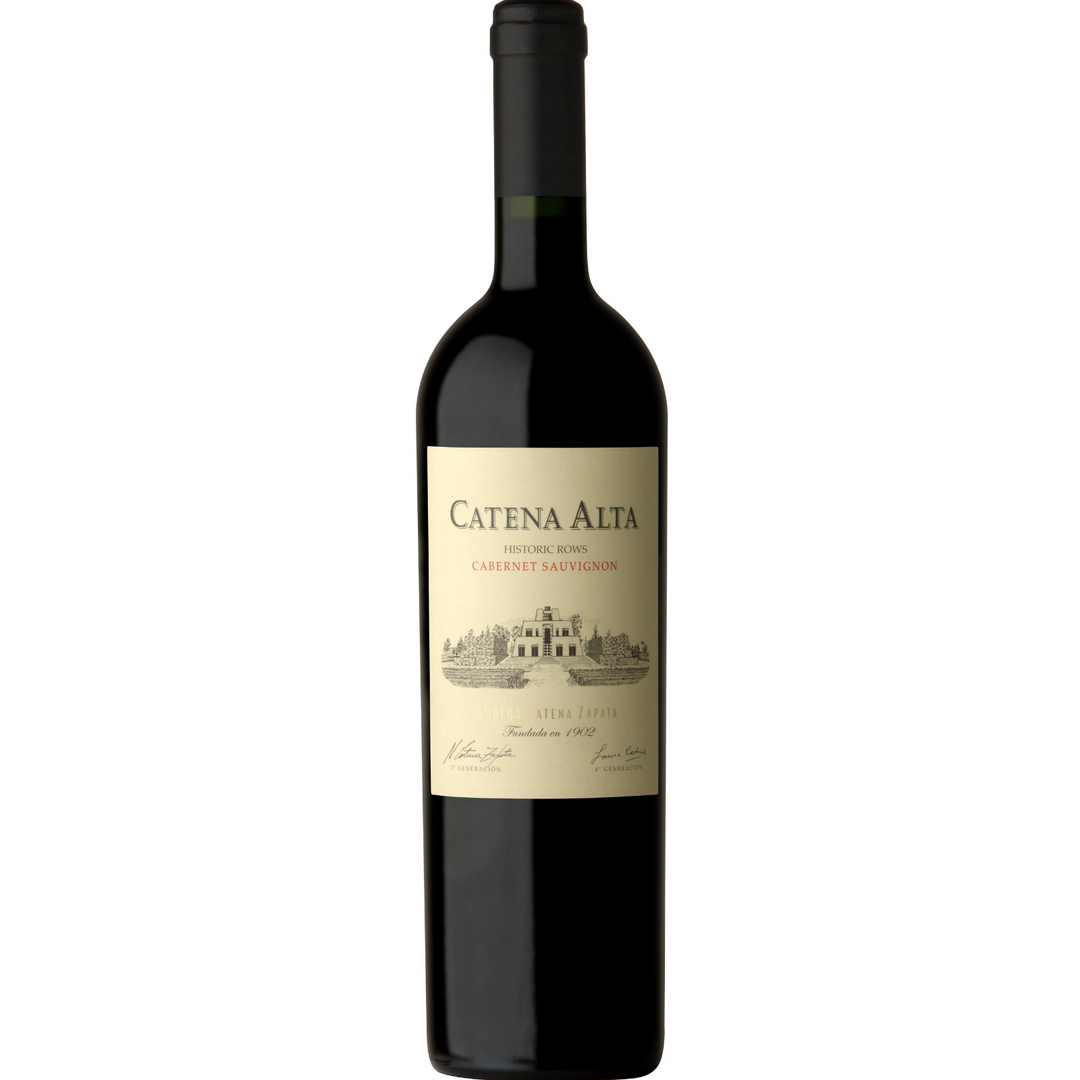 2021 | Catena Alta Cabernet Sauvignon | Mendoza