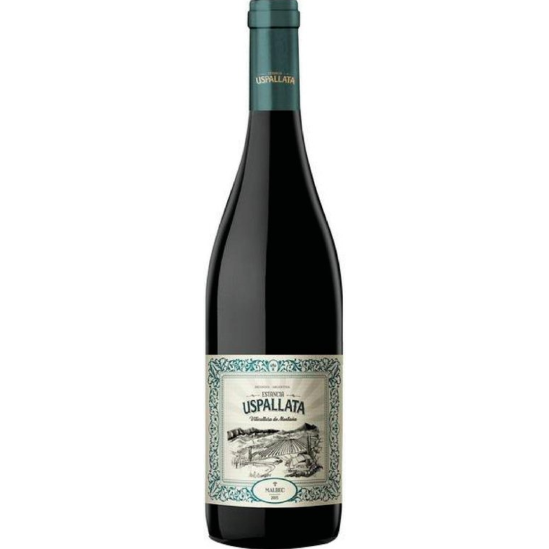 2022 | Estancia Uspallata Malbec | Mendoza