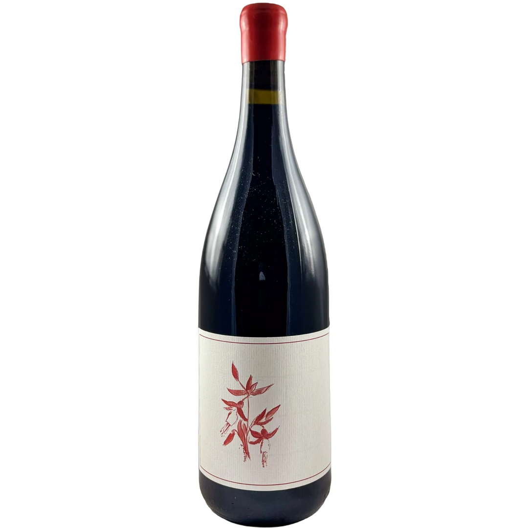 2023 | Arnot-Roberts Fox Creek Pinot Noir | Carmel Valley