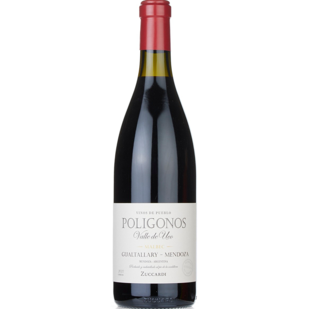 2023 | Familia Zuccardi 'Poligonos' Gualtallary Malbec | Mendoza