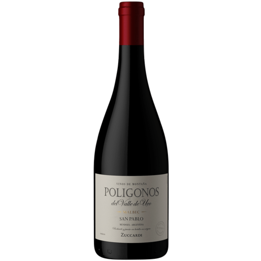 2023 | Familia Zuccardi 'Poligonos' San Pablo Malbec | Tunuyan