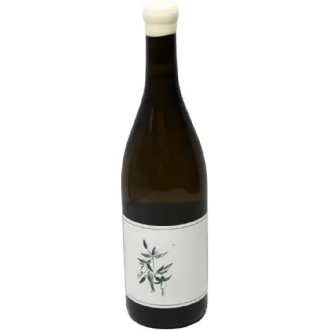 2023 | Arnot-Roberts Trout Gulch Chardonnay| California