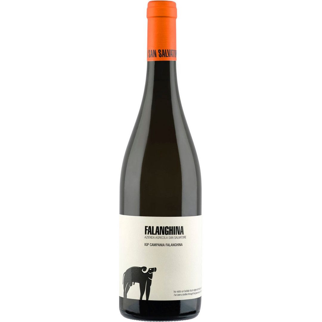 2023 | San Salvatore Falanghina Campania | Italy
