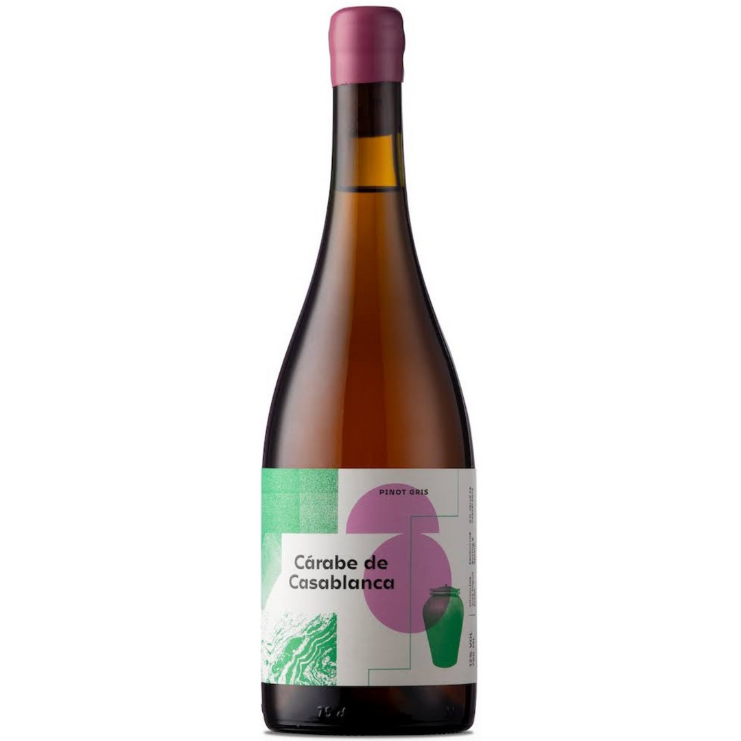 2024 | Vinícola Atacalco Carabe de Casablanca Pinot Gris | Casablanca Valley | Chile — HALF CASE