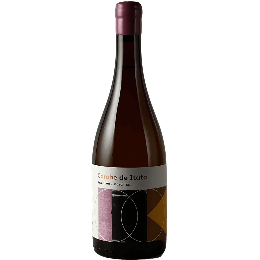 2024 | Vinícola Atacalco Carabe de Itata Sémillon | Itata Valley | Chile — HALF CASE