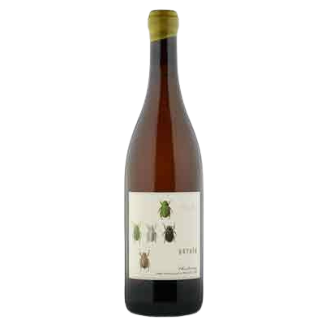 2023 Antica Terra 'Aurata' Chardonnay Willamette Valley, USA