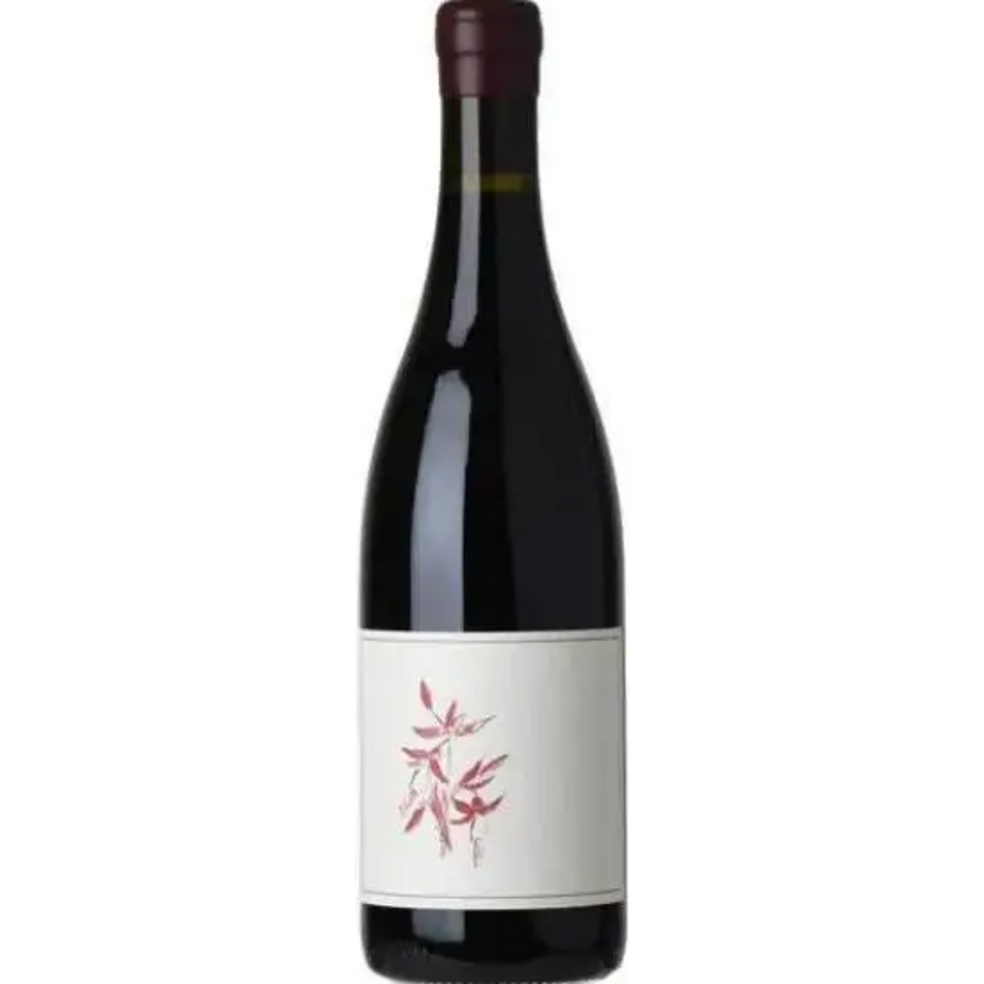 2023 | Arnot-Roberts 'Que Syrah Vineyard' | Sonoma Coast