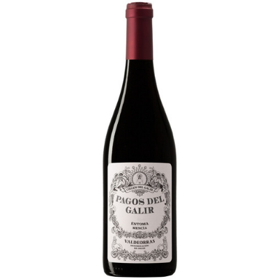 Bodegas Virgen de Galir 'Pagos de Galir' Mencia, Valdeorras, Spain 2019 (Case of 12)