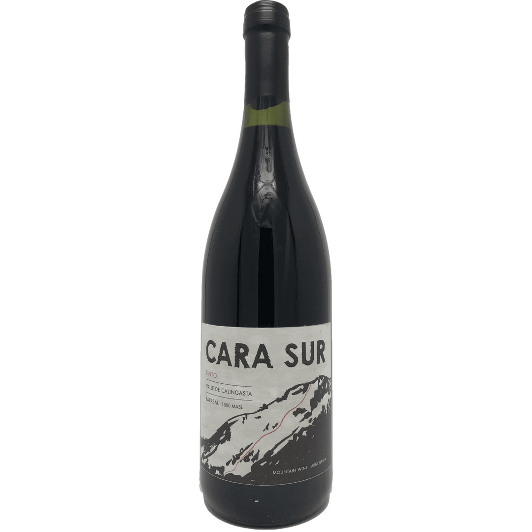 Cara Sur Tinto, Barreal, Argentina 2019 Case (6x750ml)