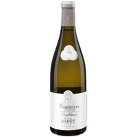 Domaine Rapet Pere et Fils Bourgogne Blanc, Burgundy, France 2021