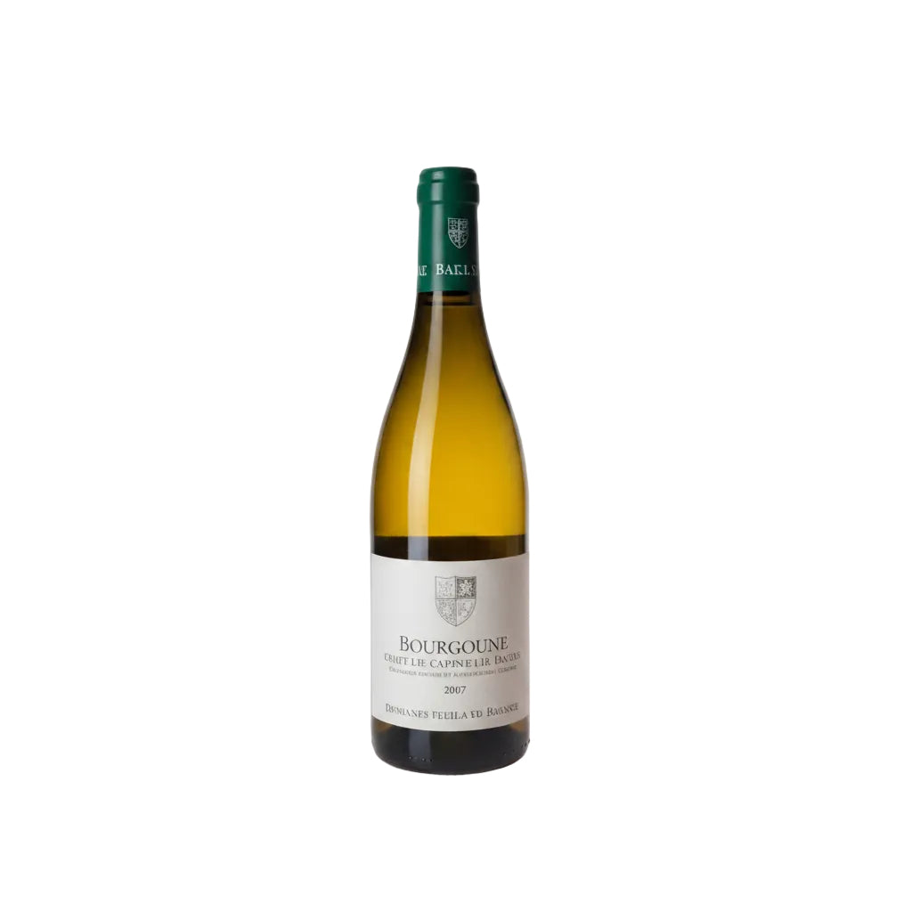 Domaine Hudelot-Baillet Hautes Cotes de Nuits Blanc, Burgundy, France 2023