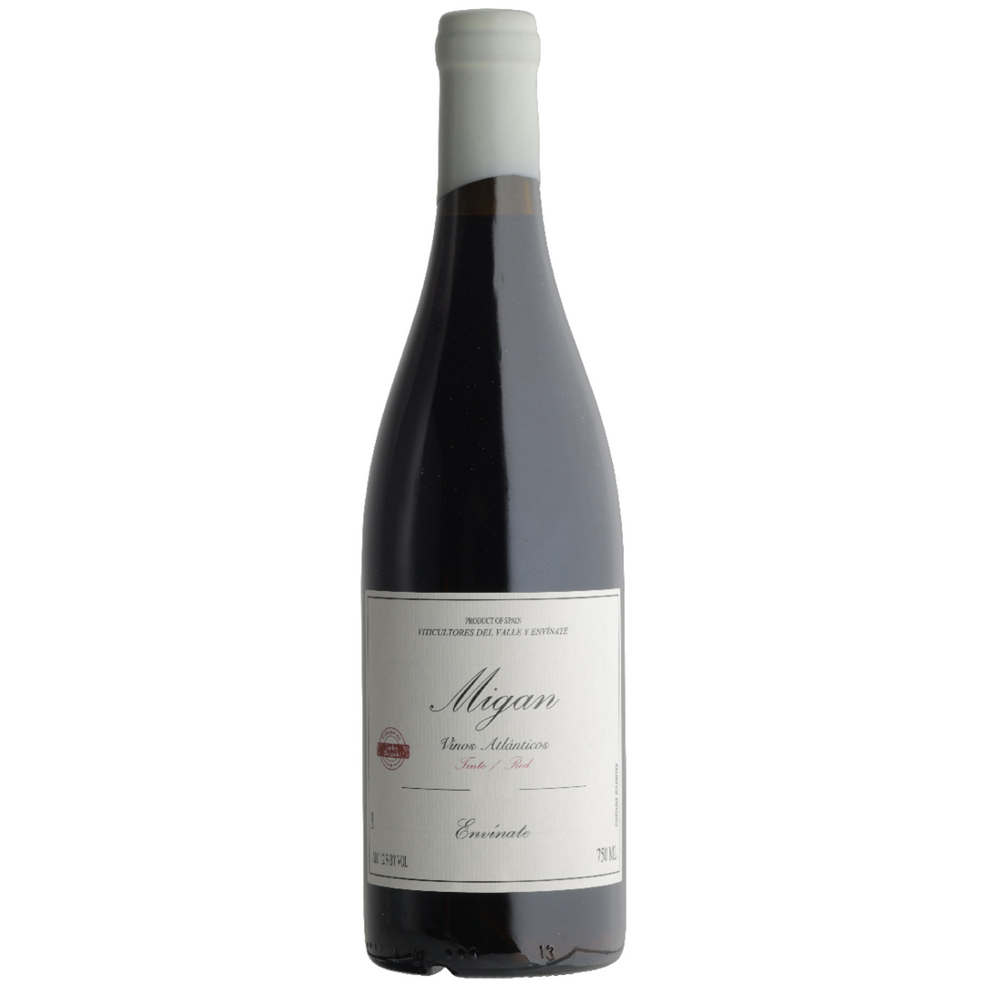 Envinate 'Migan' Tinto, Canary Islands, Spain 2022