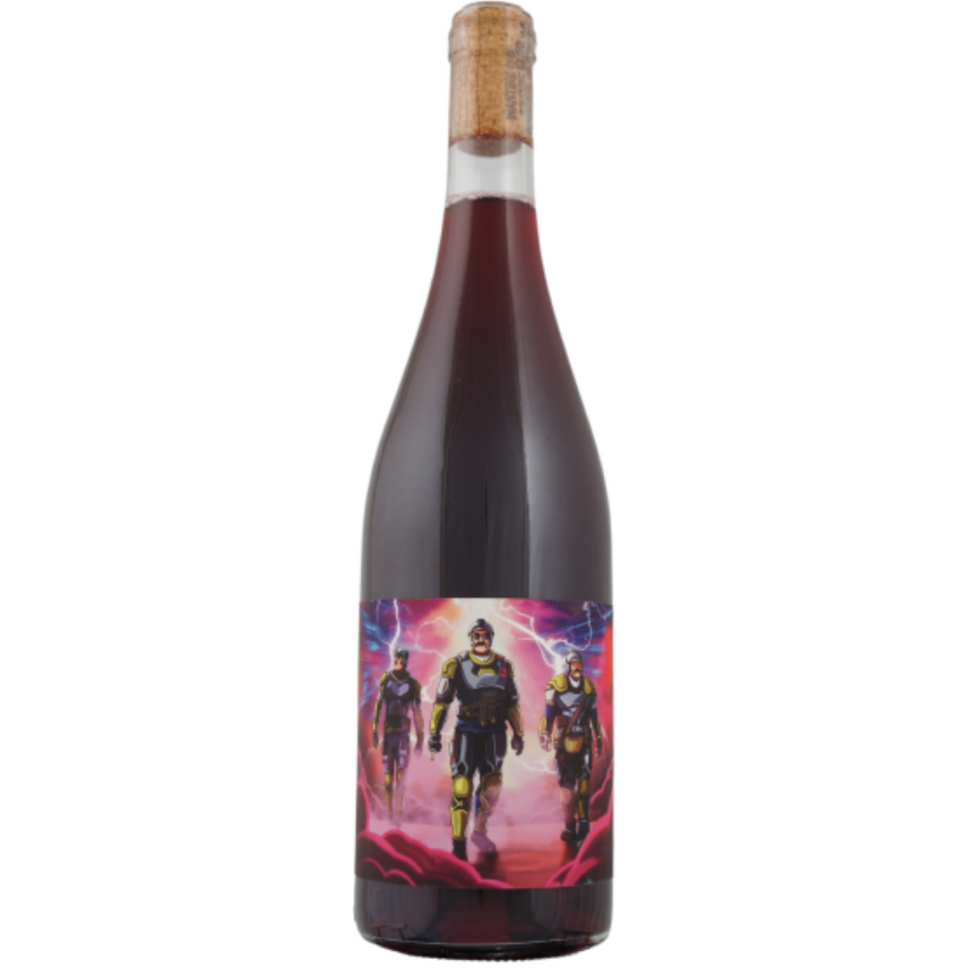 Gonc Sabbotage Blaufrankisch, Stajerska, Slovenia 2021