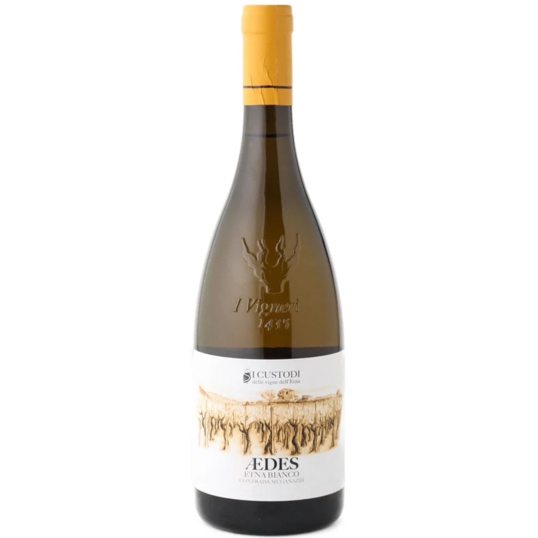 I Custodi bianco "Aedes" 2024