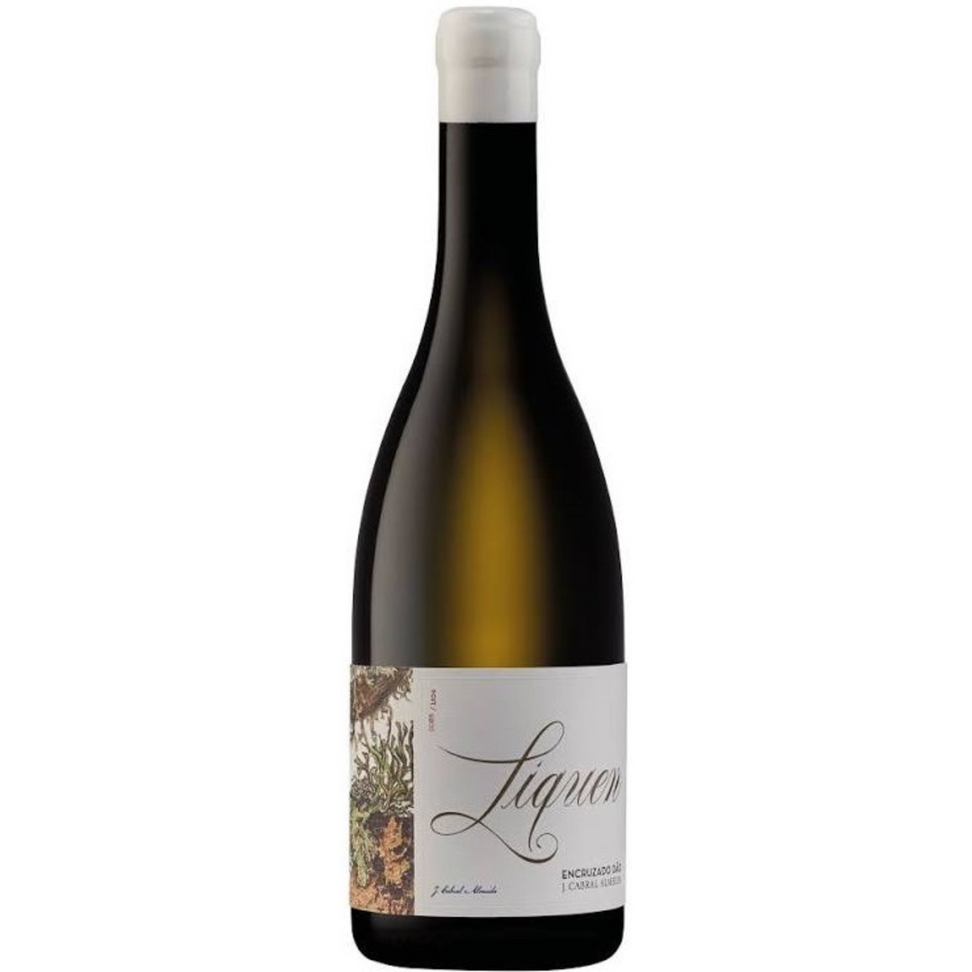 J. Cabral Almeida Dao Branco Liquen Encruzado