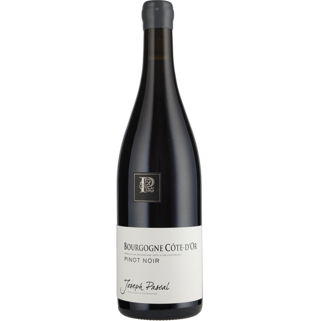 2022 | Domaine Jean Pascal Bourgogne Côte d'Or Pinot Noir | Burgundy