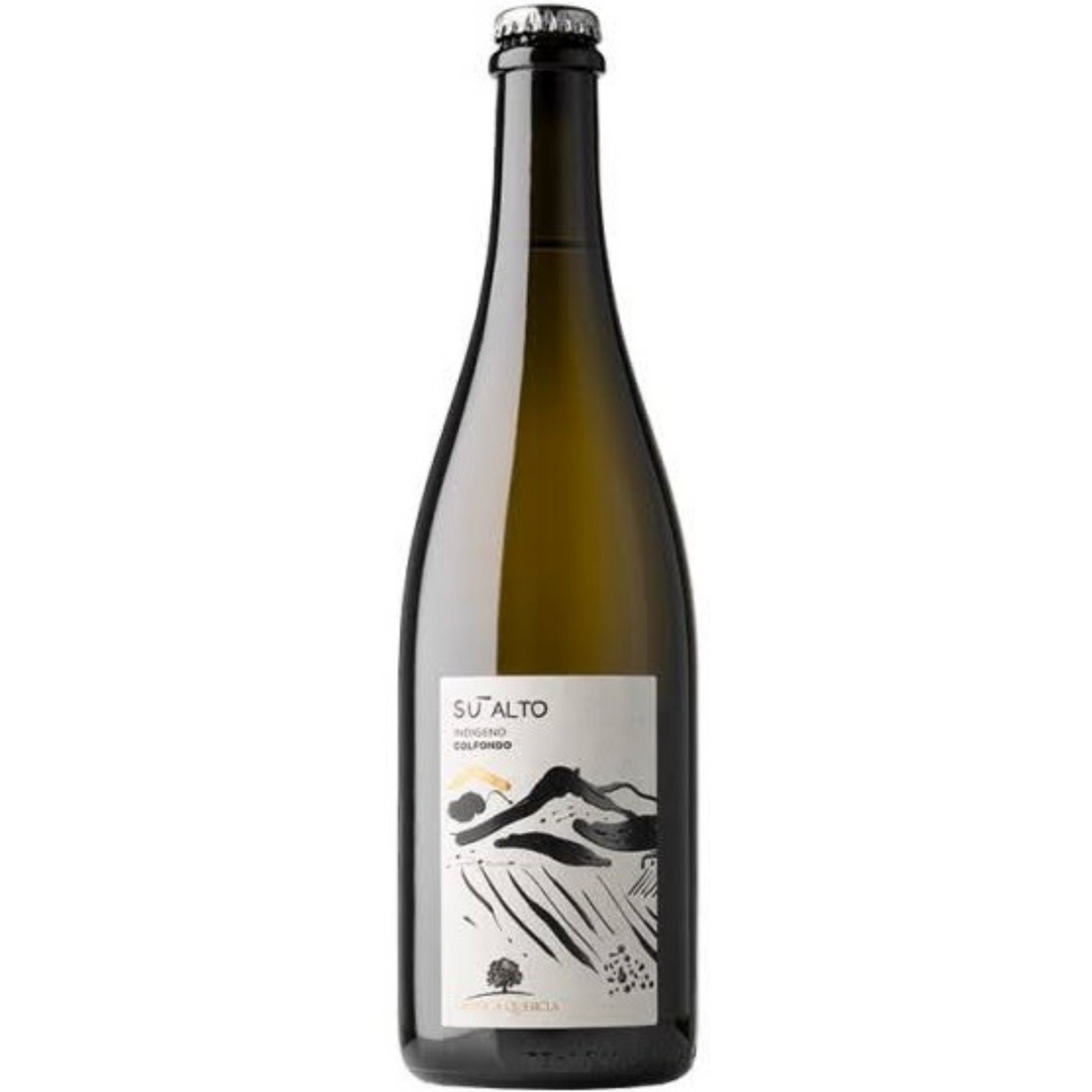L'antica Quercia Vino Bianco Su Alto Indigeno Colfondo Italy