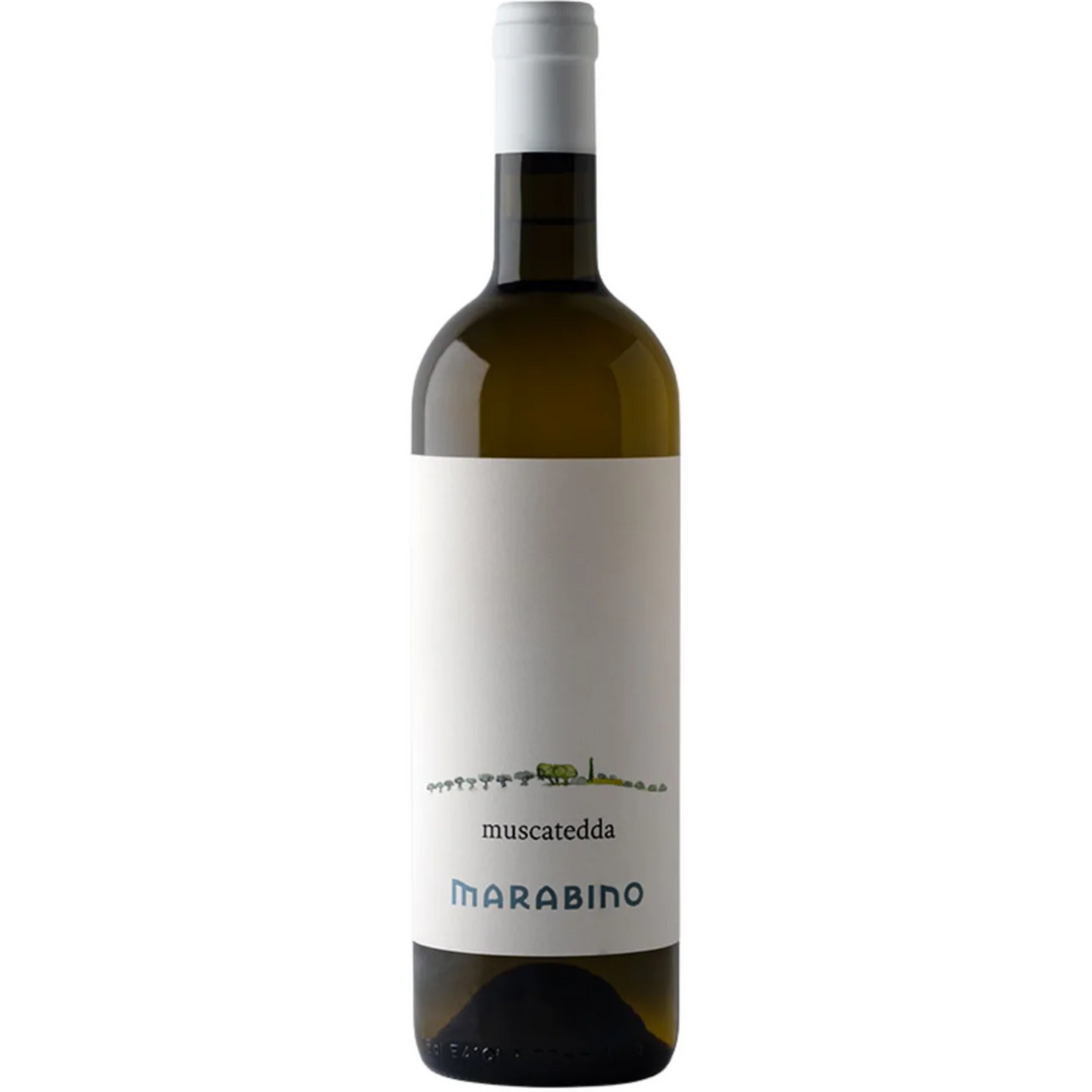 2024 | Marabino Muscadetta | Sicily | Italy — HALF CASE