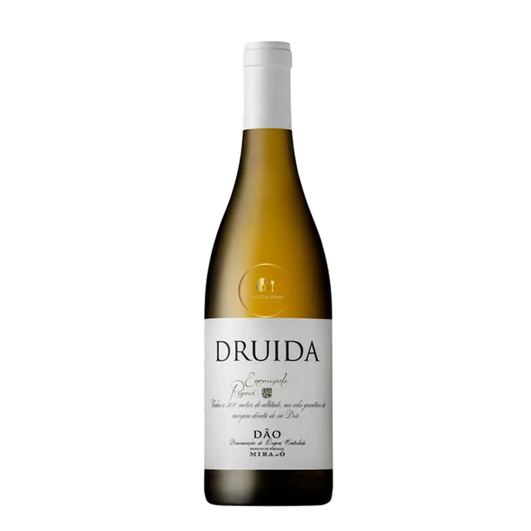 Mira do O 'Druida' Encruzado Branco, Dao, Portugal 2023
