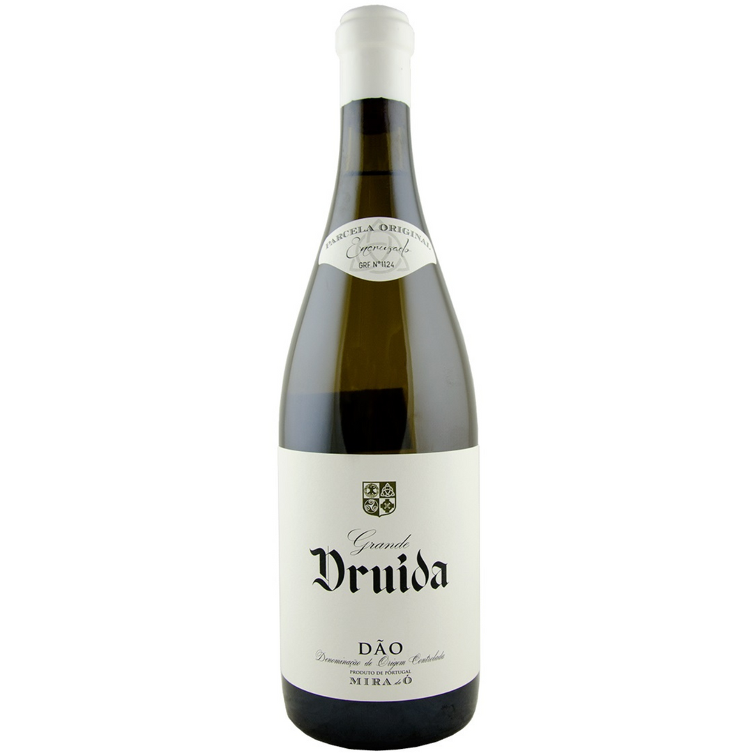 Mira do O Grande Druida, Dao, Portugal 2020