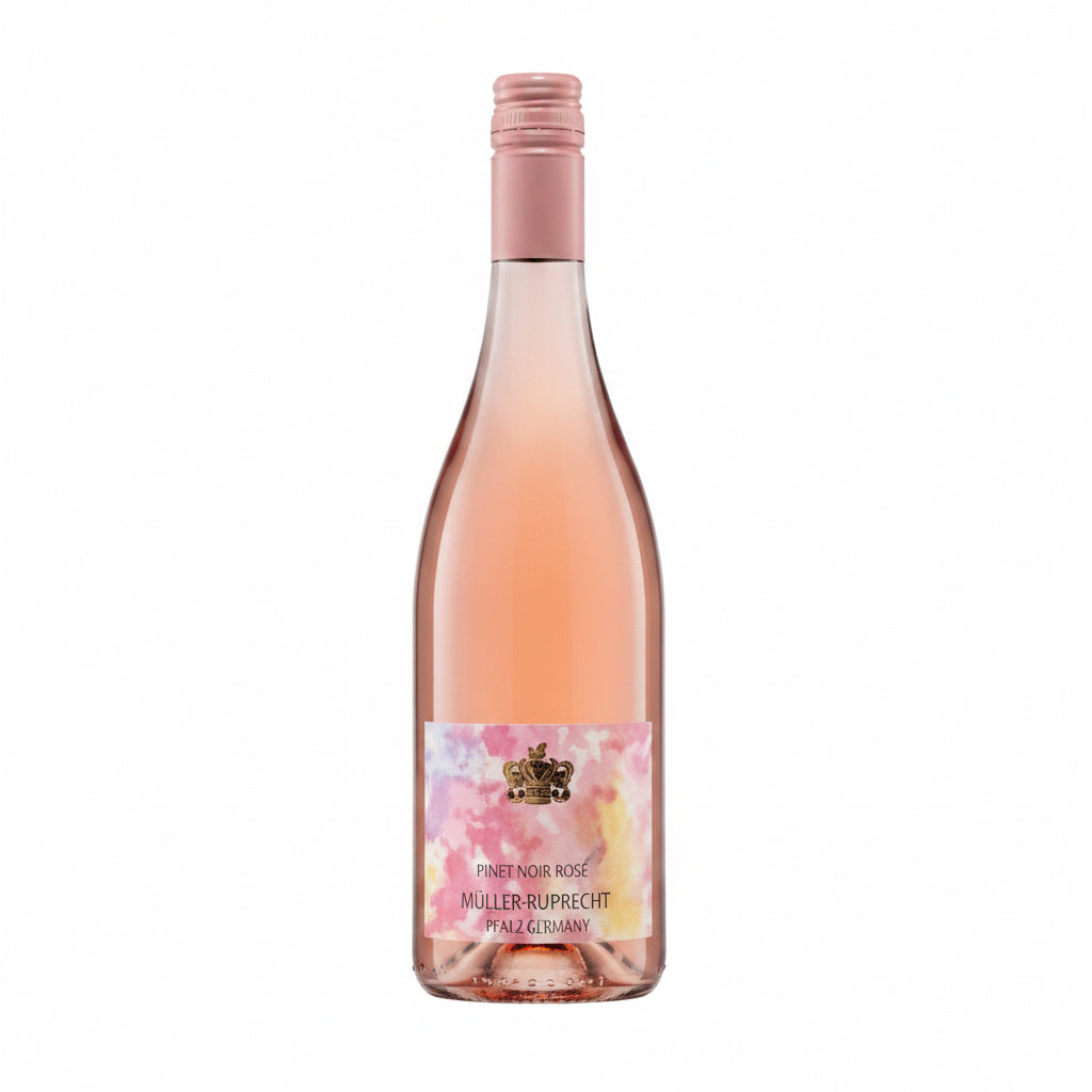 Muller-Ruprecht Rose, Pfalz, Germany 2025