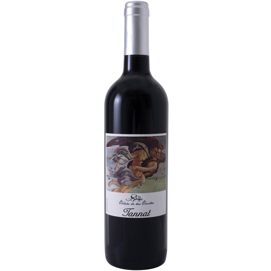 Pablo Fallabrino - Vinedo de los Vientos Tannat, Canelones, Uruguay 2020