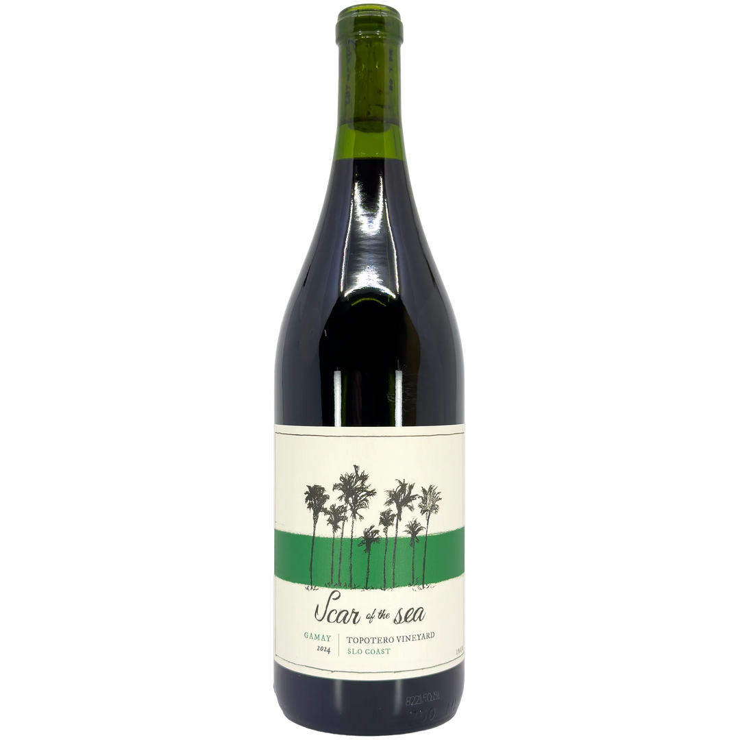 Scar of the Sea Topotero Vineyard Gamay, San Luis Obispo County, USA 2023