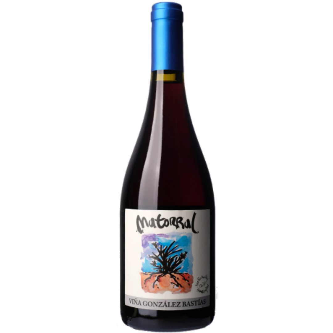 Vina Gonzalez Bastias 'Matorral', San Javier, Chile 2020