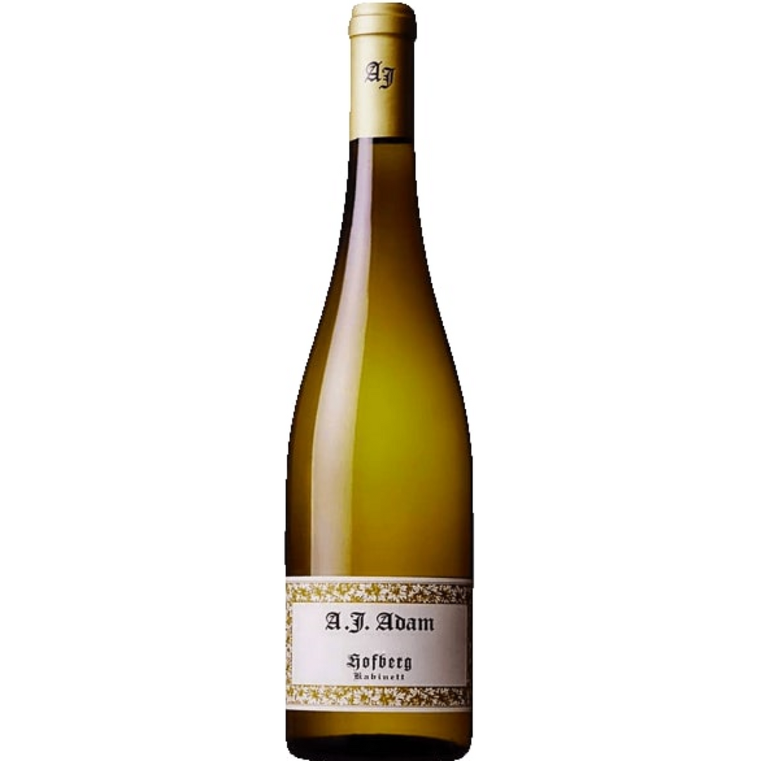 Weingut A.J. Adam Dhroner Hofberg Riesling 2021 Germany