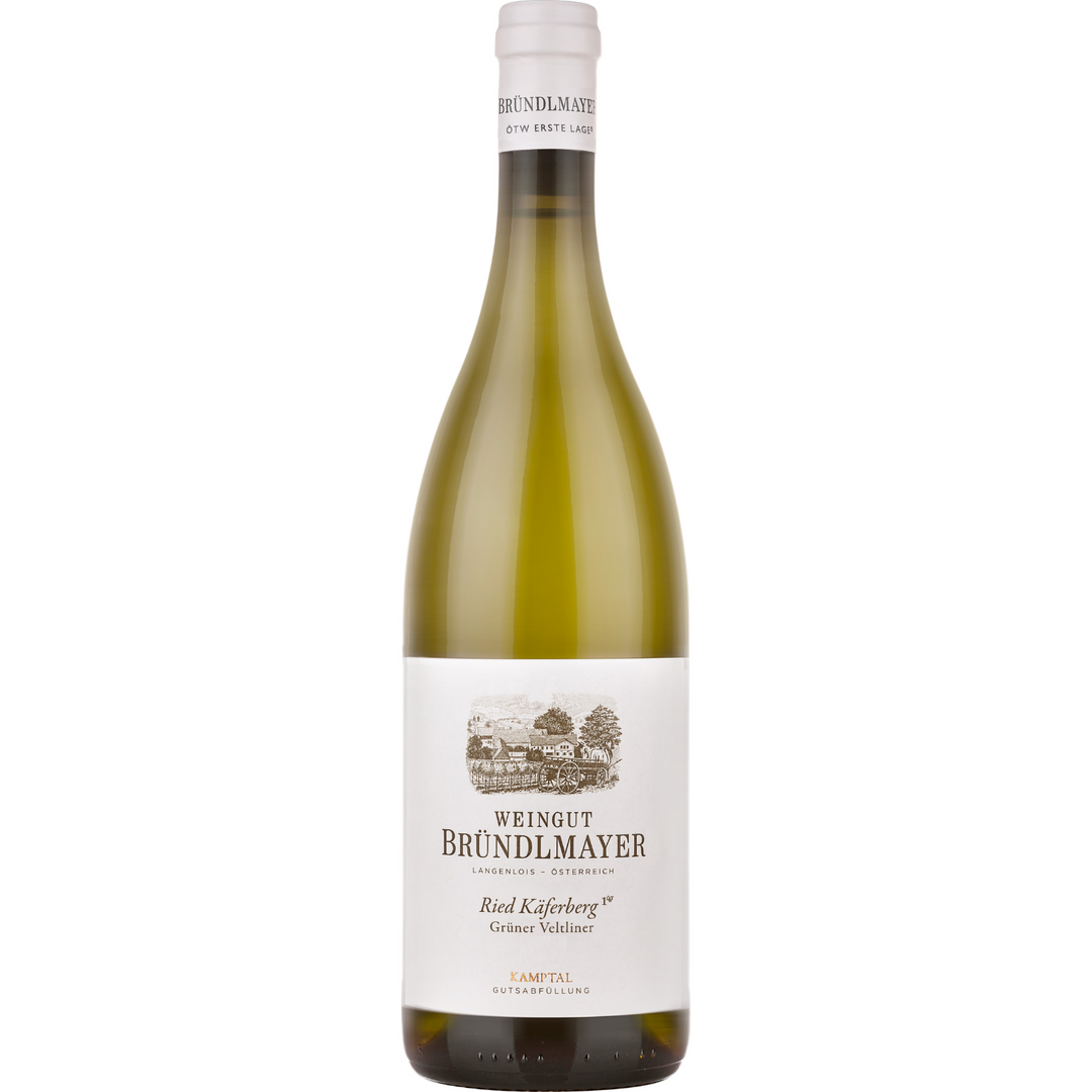 Weingut Brundlmayer Kaferberg Gruner Veltliner, Kamptal DAC Reserve, Austria 2019