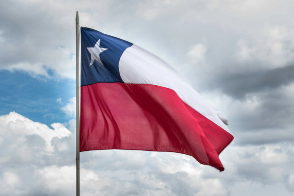 Chilean Wines
