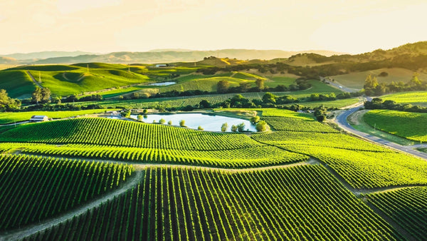 Napa Valley