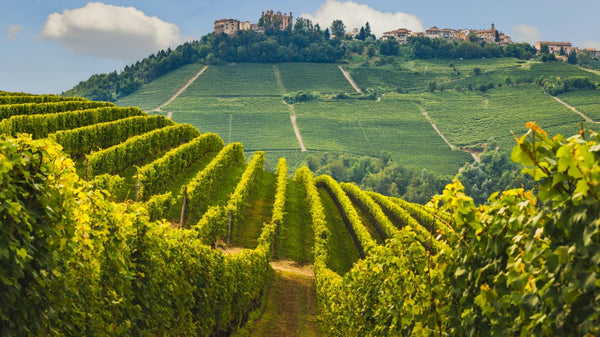 Piedmont