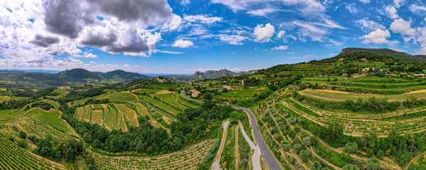 Rhône Valley
