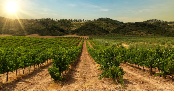 Rioja