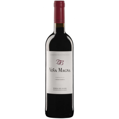 Dominio Basconcillos Vina Magna 6 Meses en Barrica, Ribera del Duero, Spain 2021